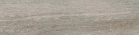 PALIANO SILVER P B1 TN17 F100N E 142